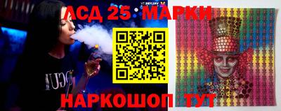 мяу мяу мука Краснознаменск
