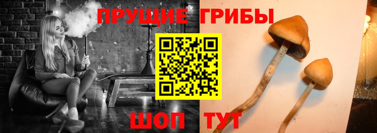 Галлюциногенные грибы мухоморы  Вход с VPN  Кохма  Псилоцибиновые грибы Cubensis 